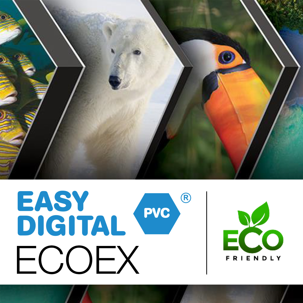 EASY DIGITAL ECOEX
