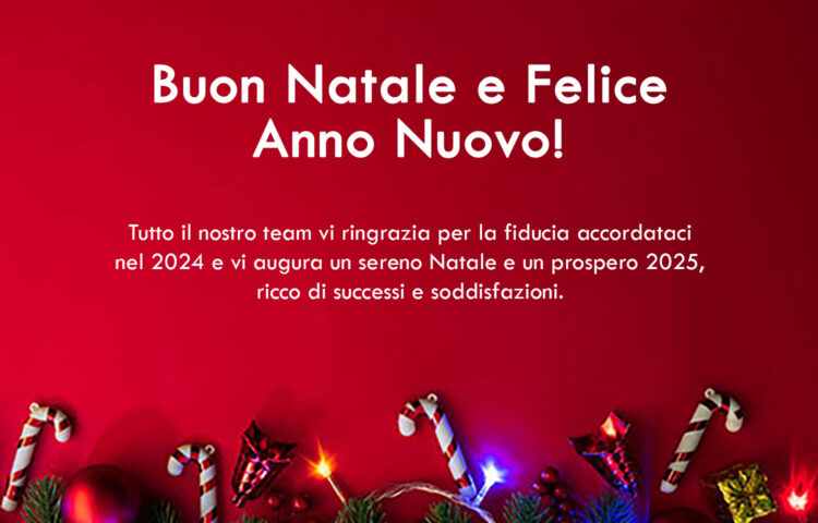Festività Natalizie 2024